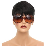 Cheetah Sunglasses