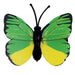 Green/Yellow
