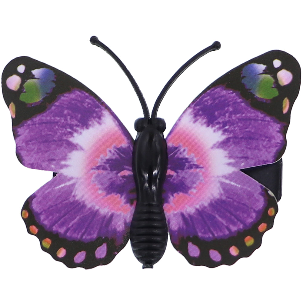 Purple Decorative Accessories | Next Official Site