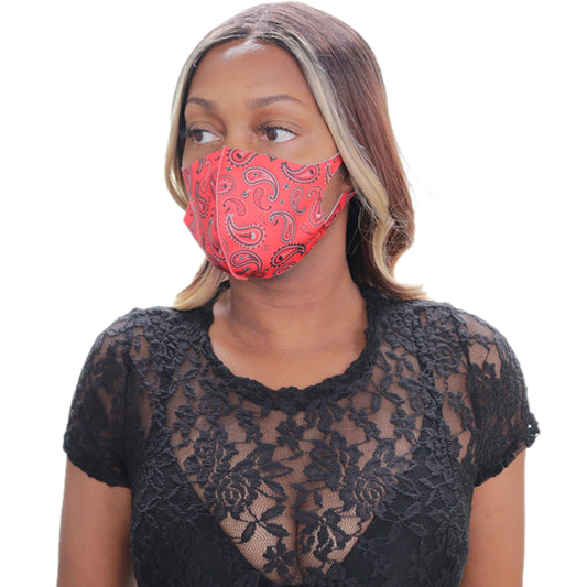 Red Paisley Face Mask