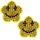 Yellow Smiley Face Star Earrings